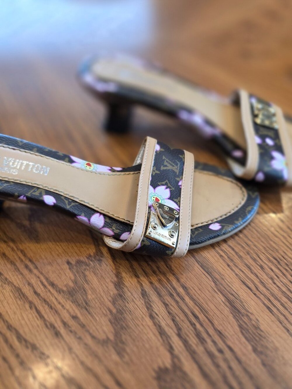 Woman's Floral Print Shoes